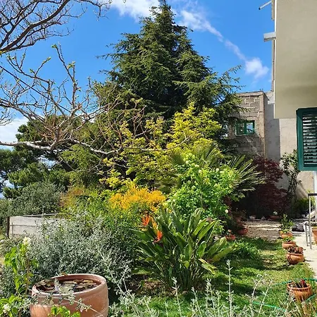 Dora Apartment Makarska