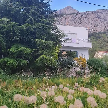 Dora Apartment *