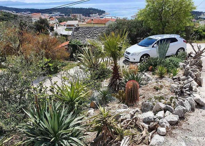 Dora Макарска