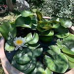 Apartment Dora