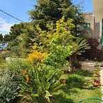 Dora Apartment Makarska