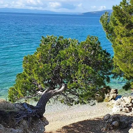 Appartamento Dora Makarska