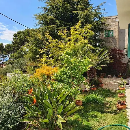 Dora Lägenhet Makarska