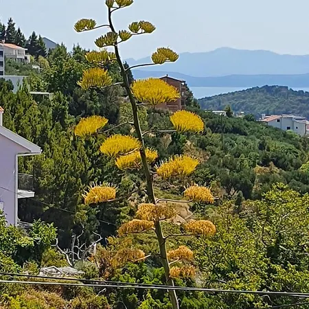 Apartmán Dora