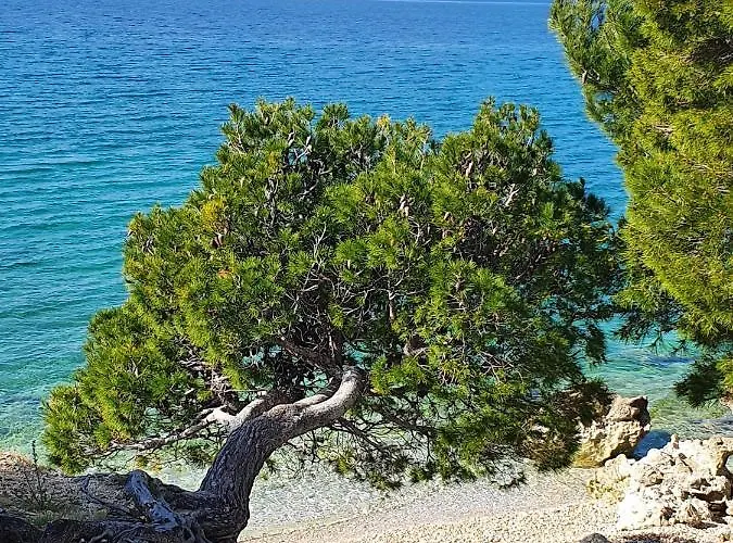 Apartman Dora Makarska