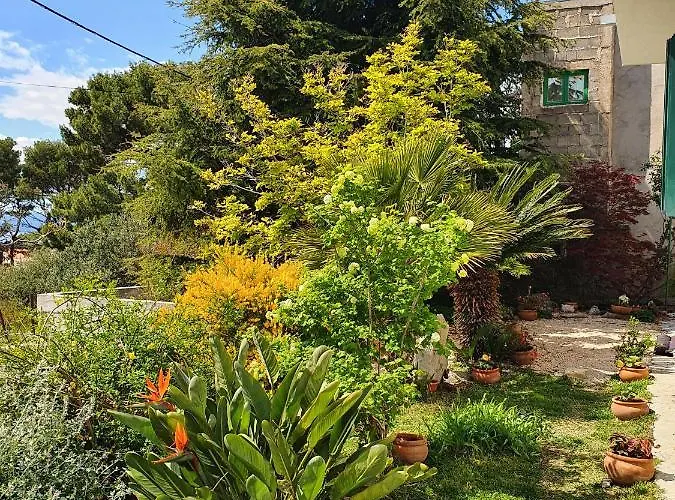 Dora Apartmán Makarská